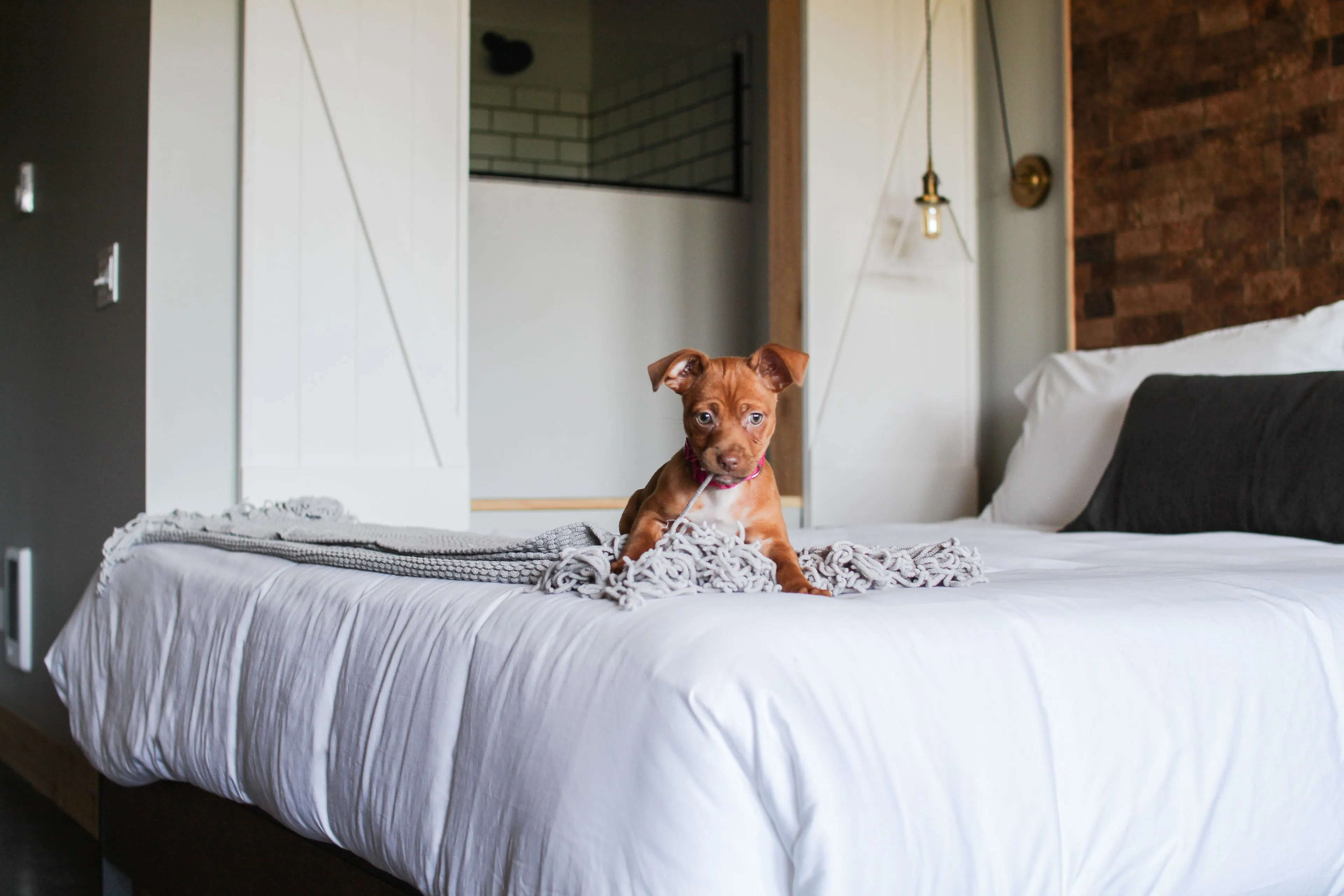 Inn at Discovery Coast — photo 2