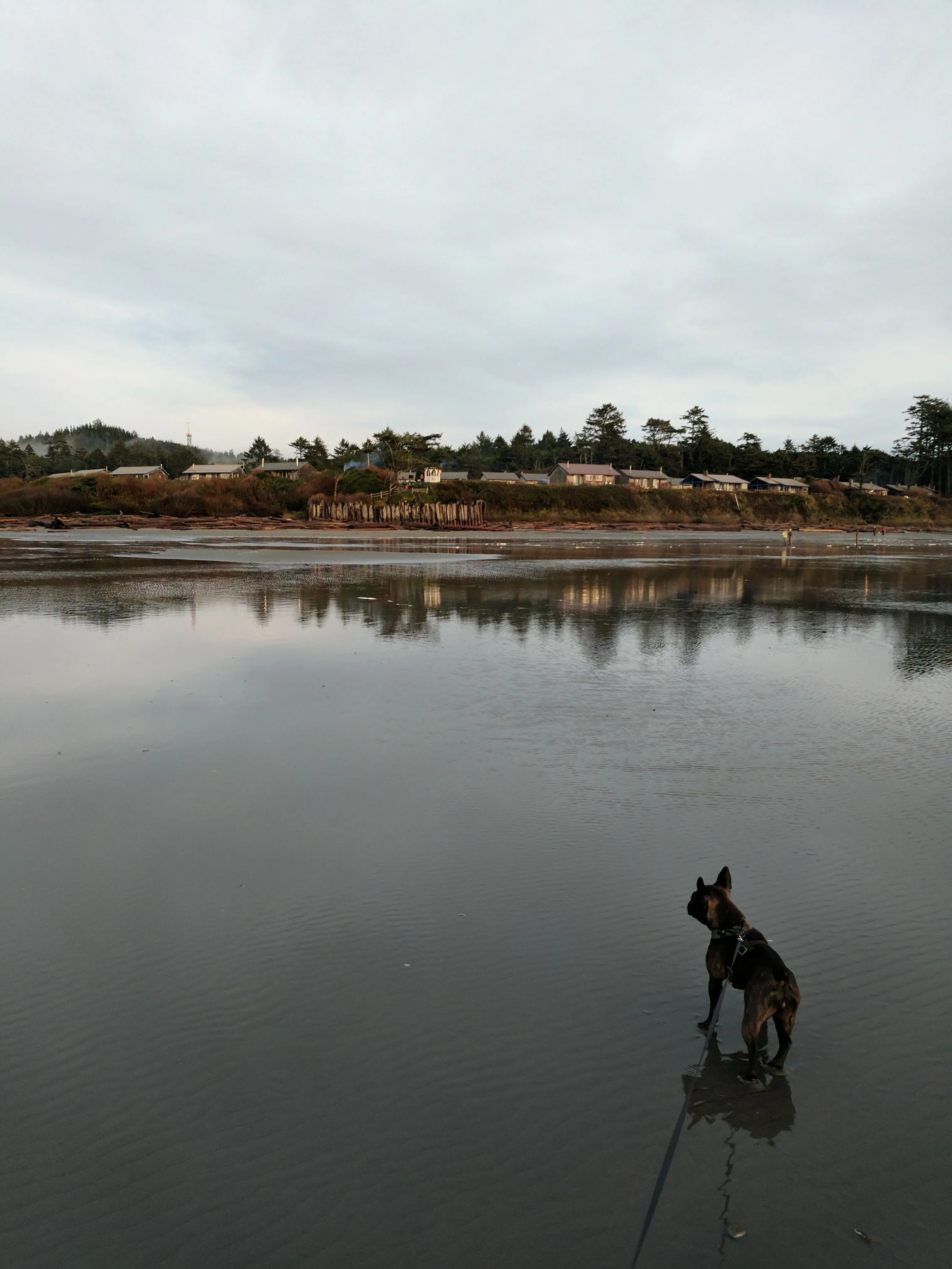 Kalaloch Lodge — photo 3