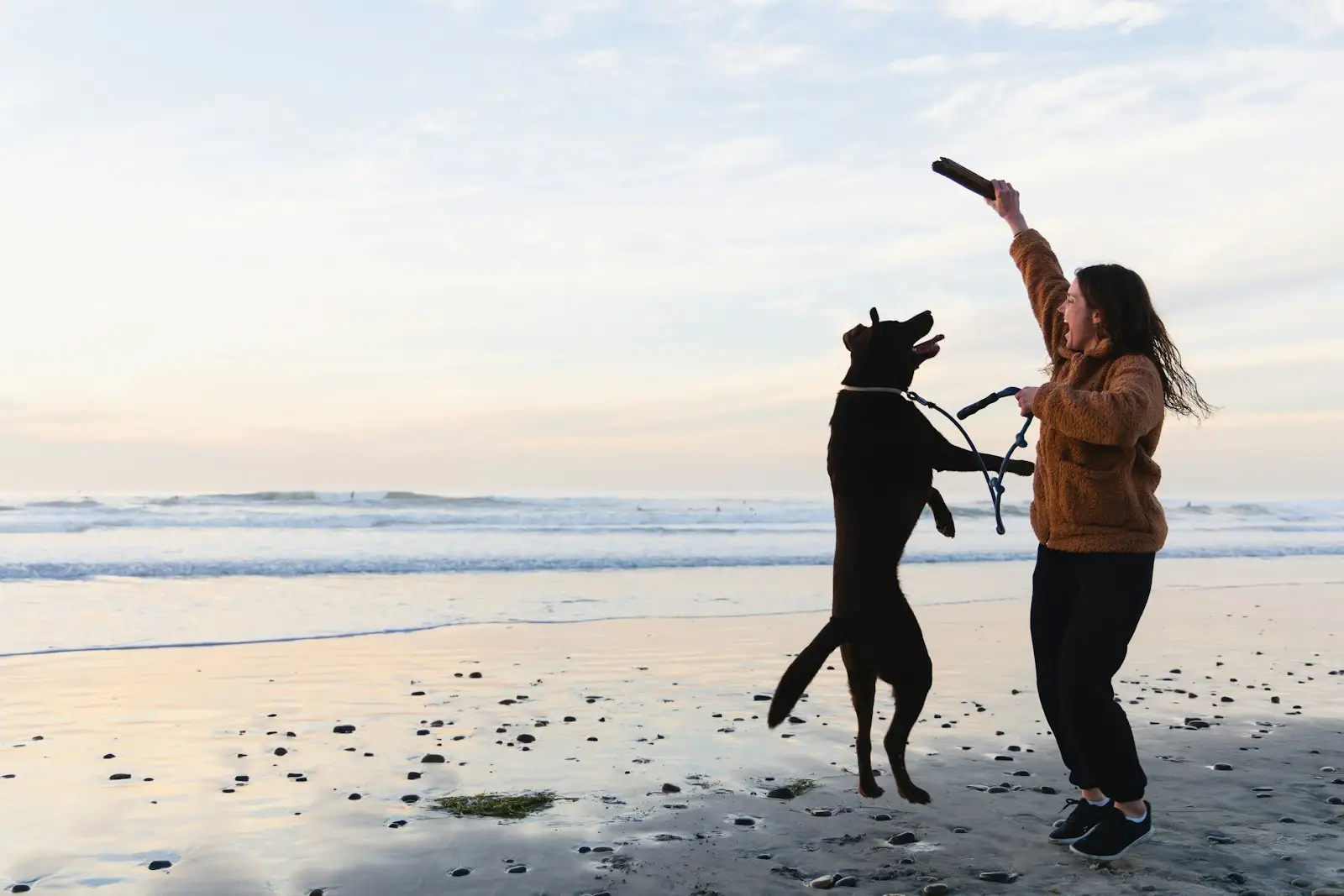 A person and a dog on a California beach.