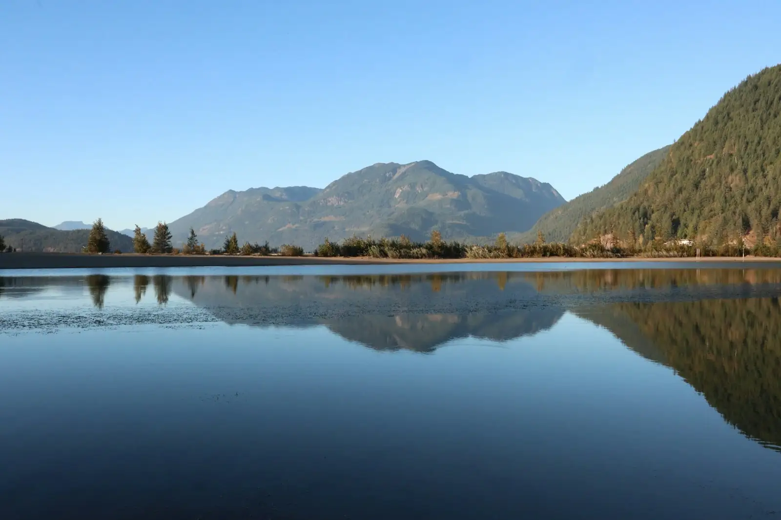 Harrison Lake stretching toward forested mountains under a blue sky in Harrison Hot Springs, British Columbia.