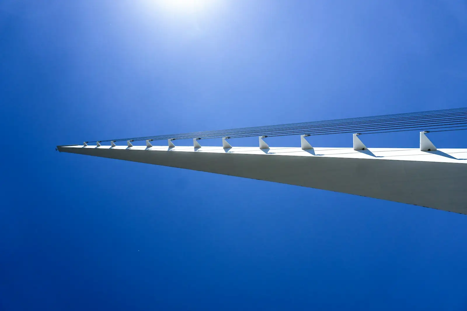 Birds perched on the railing of the Sundial Bridge in Redding, California.